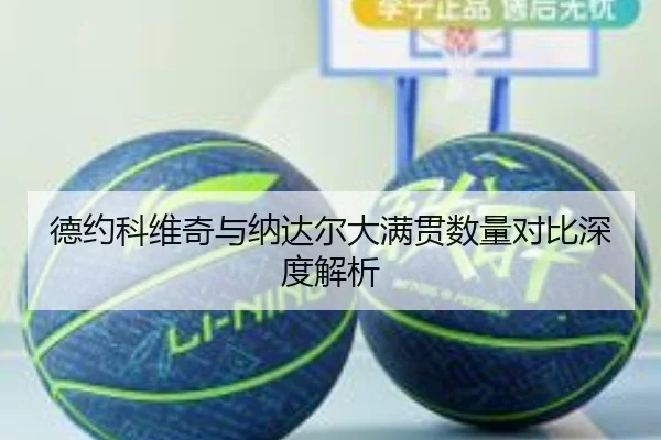 德约科维奇与纳达尔大满贯数量对比深度解析